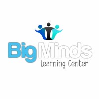 BigMinds logo - Similar company to Bigminds Tech