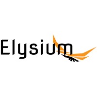 Elysium Aviation Academy logo - Similar company to Infossel Software Solutions