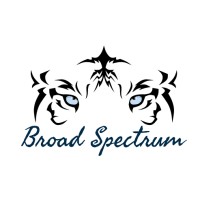 Broad Spectrum Security Systems Trading LLC logo - Similar company to Interactive Telecom Llc