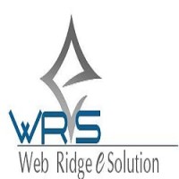 Web Ridge E Solution logo - Similar company to Ai-Driven Solutions