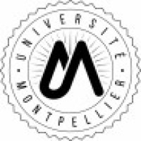 Master 2 Finance & Green Finance - Montpellier Management logo - Similar company to Es Conseil