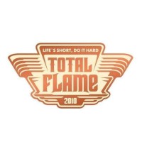 Total Flame logo - Similar company to Qp Ecosystem