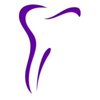 Dental Staffing Consultants LLC logo - Similar company to Transitions Group