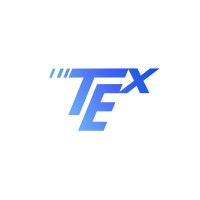 Tech Express logo - Similar company to Vʌ | Valorya