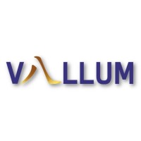 Vallum Capital Advisors logo - Similar company to Alpha Ai