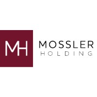 Moßler Holding logo - Similar company to Effizienzmaster