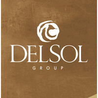 Del Sol Group, Inc logo - Similar company to Del Sol Group