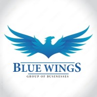 Blue Wings Digital Media and Marketing logo