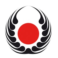 Tai Sei Karaté logo - Similar company to Eeyou Karate Association