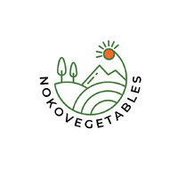 NOKOVEGETABLES logo - Similar company to Champima