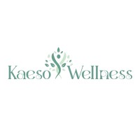 Kaeso Wellness logo - Similar company to Lexetal Global