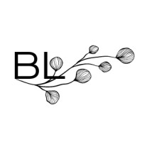 Bloom Local logo - Similar company to Query Capital Financial Guidance