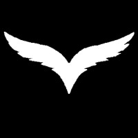 FitNest logo - Similar company to Fitnest Luxembourg