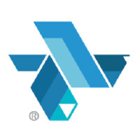 Blueicon México logo - Similar company to Icom System Technology