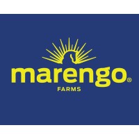 Marengo Foods Company, LLC logo - Similar company to Meringo