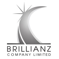 Brillianz Company Limited logo - Similar company to Hirepay