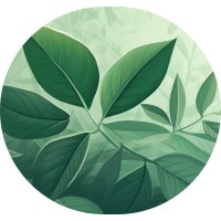 Siadova Consulting logo - Similar company to Ideasoft