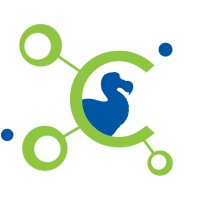Codect Ltd logo - Similar company to Nemesys Global