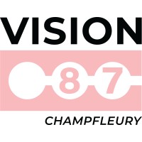 Vision 87 logo - Similar company to Tk Realty