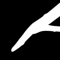 Branch Visual