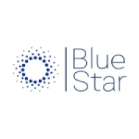 Blue Star Executives logo - Similar company to Summit Strive Consulting