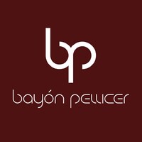 Bayón Pellicer, S.L. logo - Similar company to Matts & Matters