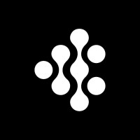 Synaipsys logo - Similar company to Relentless Systems
