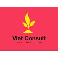 Viet Consult logo - Similar company to Tala Bridge