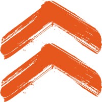 Wicked BOLD logo - Similar company to Tiko Global