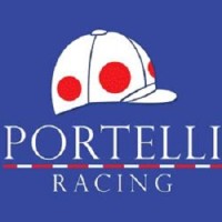 Portelli Racing logo - Similar company to Ciaron Maher Racing