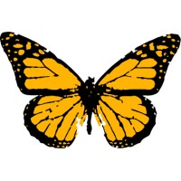 ZompDesigns logo - Similar company to Hiddengem
