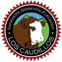 Ganadería Simmental-Fleckvieh 