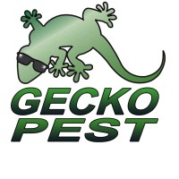 Gecko Pest Management
