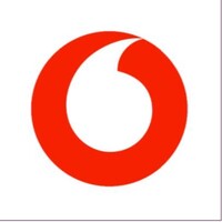 Vodafone Store DE.PA.SRL logo - Similar company to Cha International