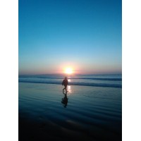 Poems For Us All logo - Similar company to Poems