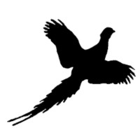 Transitions 1-2-3, Inc. logo - Similar company to Elevance Renewable Sciences, Inc.