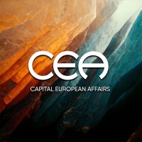 Capital European Affairs logo - Similar company to Tech For Climate Action