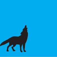 Wolf Design Partners, LLC logo - Similar company to Liquid Tree