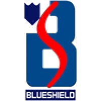 Blueshield Computer logo - Similar company to Learntor