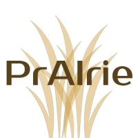 PrAIrie logo - Similar company to Ai Business Solutions