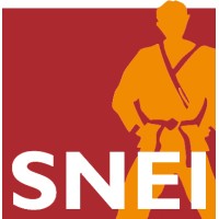 SNEI logo - Similar company to Pol Agret