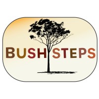 Bush Steps logo - Similar company to Gidgee Healing Qld