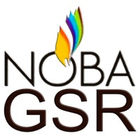NOBA GSR logo - Similar company to Noba