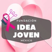 Fundación IDEA Joven México logo - Similar company to Mat X Space