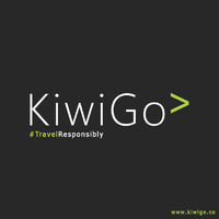 KiwiGo Pte Ltd. logo - Similar company to Manxi