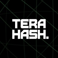 TeraHash logo - Similar company to The National Alliance For Financial Literacy And Inclusion (Nafli)