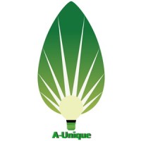 Asia Unique LED Lighting Co.,Ltd logo - Similar company to Bvinspiration