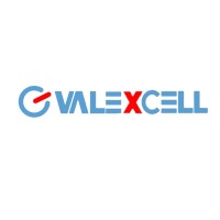 Valexcell logo - Similar company to Daruma