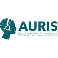 AURIS logo - Similar company to Callnet.Ch