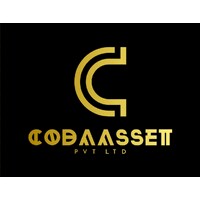 CODASSET PVT LTD logo - Similar company to Codemone